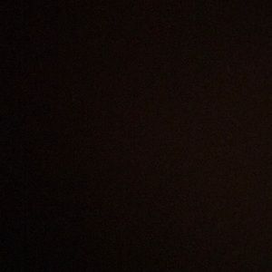 Meet your Posher, Teagan